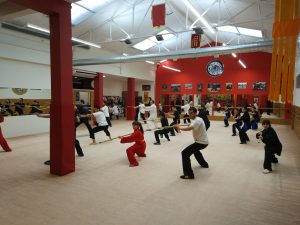 Palo de Wushu Kung Fu