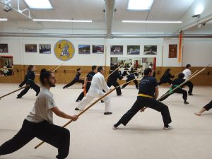 Curso de palo de kung fu