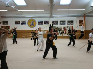 Palo de Wudang Kung fu España